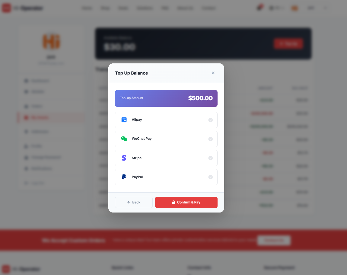 Hi-Operator 中英双语外贸独立站（通用版） 中文双语 - 10